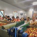 Apfelhof Auer Ferienpass 2023