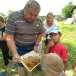 Bienen 2020
