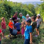 Weingut Winkler-Hermaden 2024